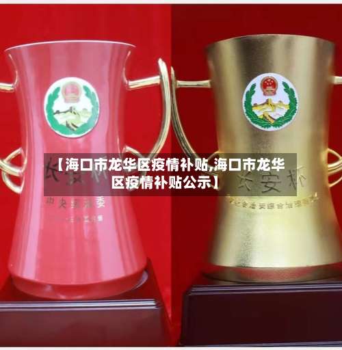 【海口市龙华区疫情补贴,海口市龙华区疫情补贴公示】