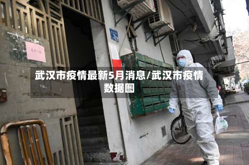 武汉市疫情最新5月消息/武汉市疫情数据图