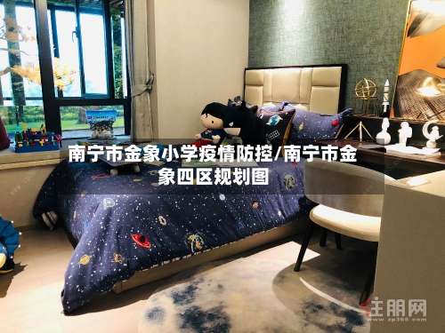 南宁市金象小学疫情防控/南宁市金象四区规划图-第2张图片