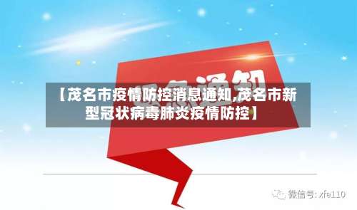 【茂名市疫情防控消息通知,茂名市新型冠状病毒肺炎疫情防控】-第3张图片