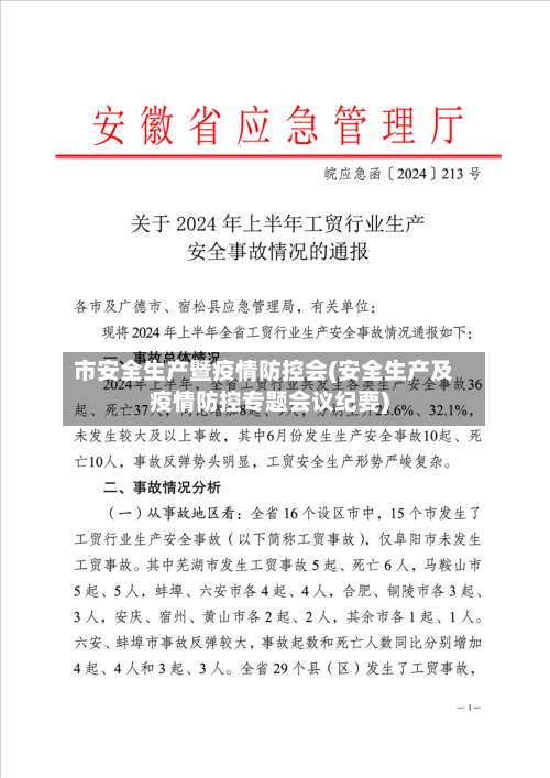 市安全生产暨疫情防控会(安全生产及疫情防控专题会议纪要)