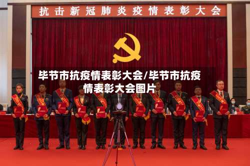 毕节市抗疫情表彰大会/毕节市抗疫情表彰大会图片
