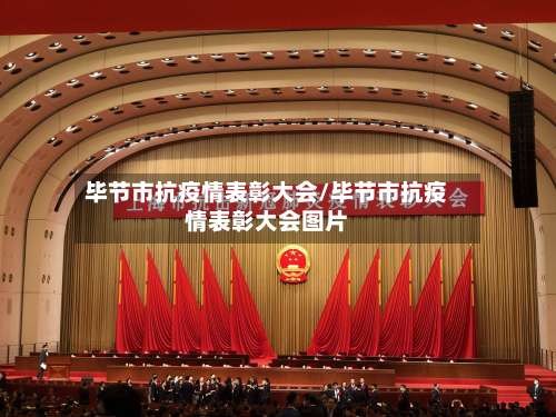 毕节市抗疫情表彰大会/毕节市抗疫情表彰大会图片-第2张图片