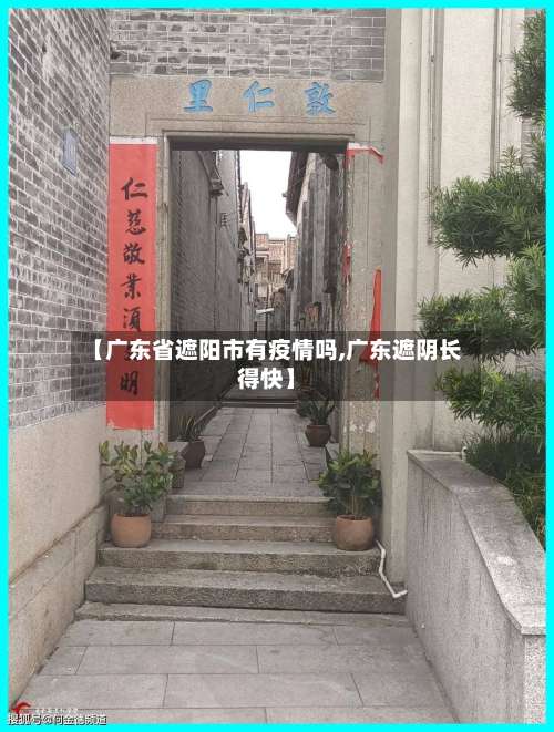 【广东省遮阳市有疫情吗,广东遮阴长得快】-第2张图片