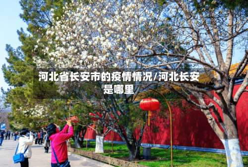 河北省长安市的疫情情况/河北长安是哪里