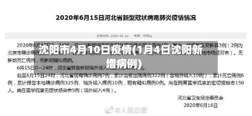 沈阳市4月10日疫情(1月4日沈阳新增病例)