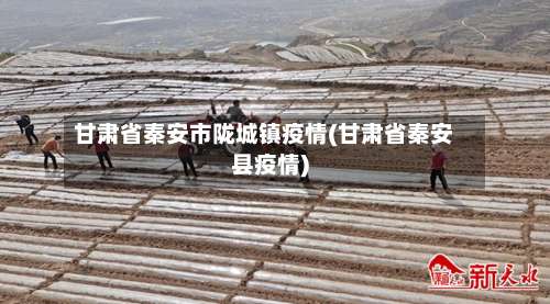甘肃省秦安市陇城镇疫情(甘肃省秦安县疫情)-第2张图片
