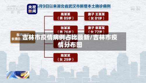 吉林市疫情病例占比最新/吉林市疫情分布图-第2张图片