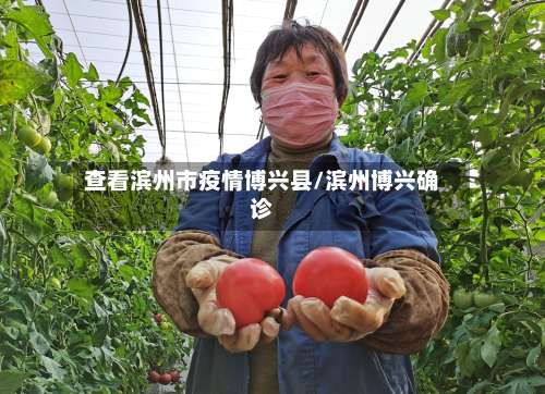 查看滨州市疫情博兴县/滨州博兴确诊