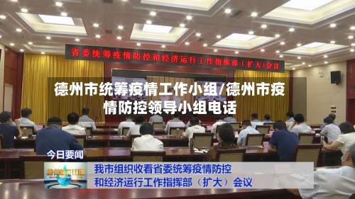 德州市统筹疫情工作小组/德州市疫情防控领导小组电话-第2张图片