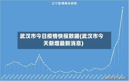 武汉市今日疫情快报数据(武汉市今天新增最新消息)
