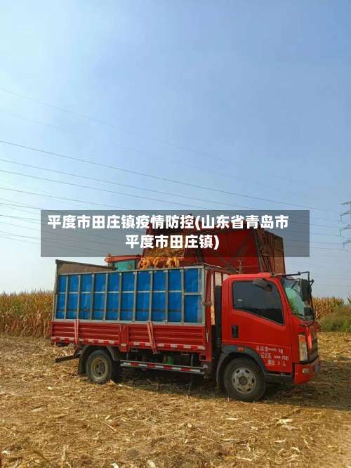 平度市田庄镇疫情防控(山东省青岛市平度市田庄镇)-第2张图片