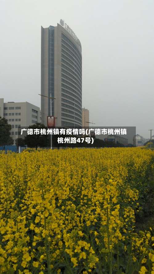 广德市桃州镇有疫情吗(广德市桃州镇桃州路47号)