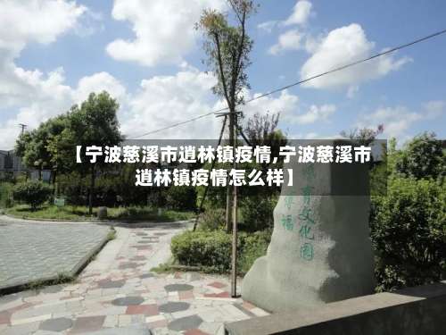 【宁波慈溪市逍林镇疫情,宁波慈溪市逍林镇疫情怎么样】