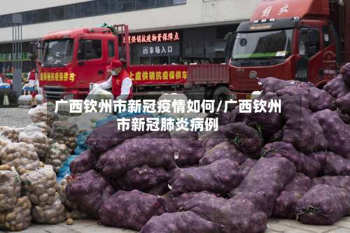 广西钦州市新冠疫情如何/广西钦州市新冠肺炎病例