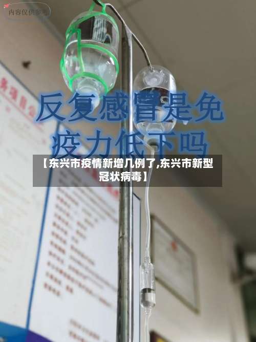 【东兴市疫情新增几例了,东兴市新型冠状病毒】