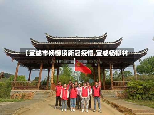 【宣威市杨柳镇新冠疫情,宣威杨柳村】