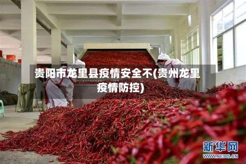 贵阳市龙里县疫情安全不(贵州龙里疫情防控)-第2张图片