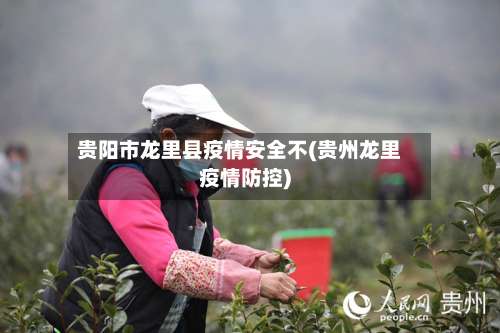 贵阳市龙里县疫情安全不(贵州龙里疫情防控)-第3张图片