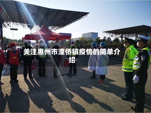 关注惠州市潼侨镇疫情的简单介绍