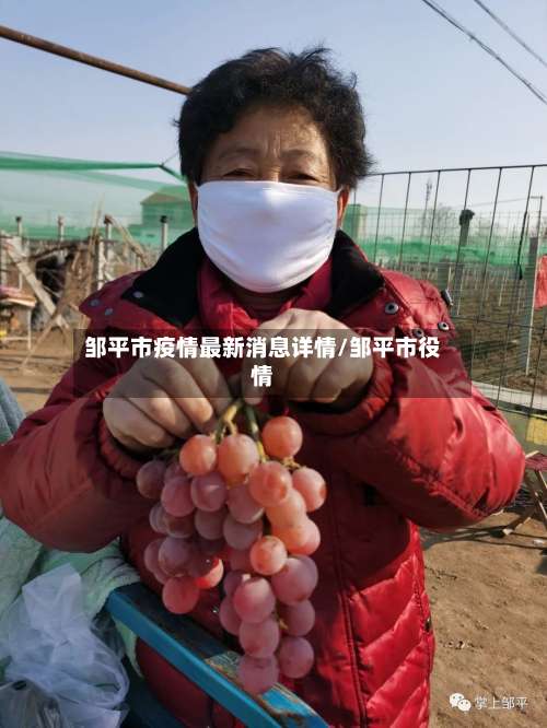 邹平市疫情最新消息详情/邹平市役情