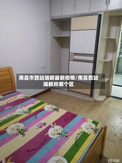 南昌市西站瑞都最新疫情/南昌西站瑞都所哪个区-第3张图片