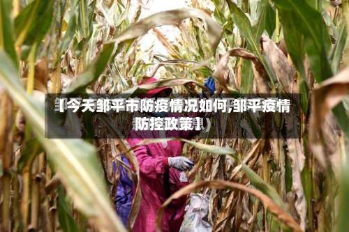 【今天邹平市防疫情况如何,邹平疫情防控政策】-第3张图片