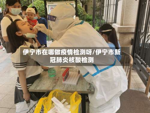 伊宁市在哪做疫情检测呀/伊宁市新冠肺炎核酸检测-第3张图片