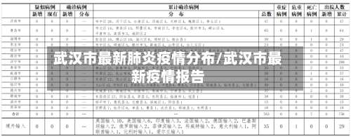 武汉市最新肺炎疫情分布/武汉市最新疫情报告