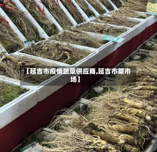 【延吉市疫情蔬菜供应商,延吉市菜市场】
