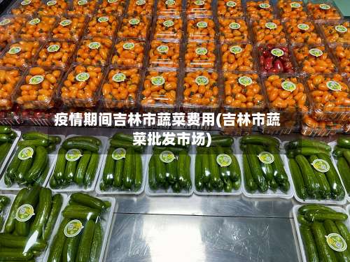疫情期间吉林市蔬菜费用(吉林市蔬菜批发市场)