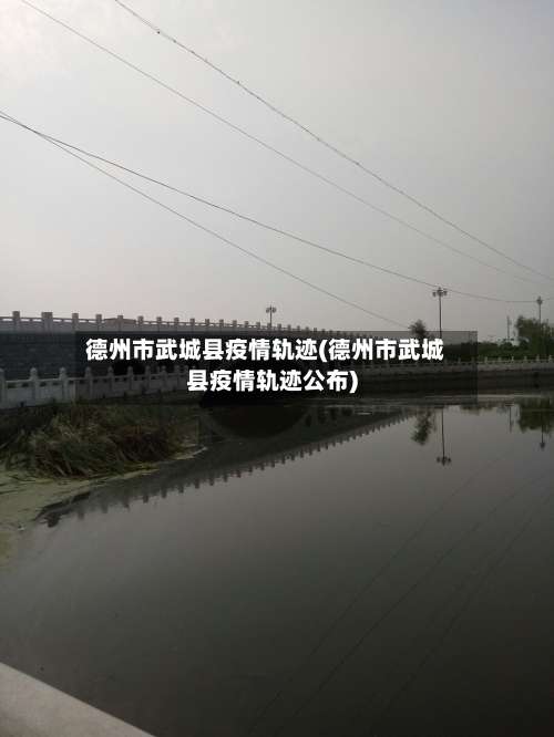 德州市武城县疫情轨迹(德州市武城县疫情轨迹公布)