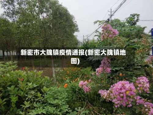 新密市大隗镇疫情通报(新密大隗镇地图)
