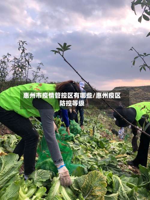 惠州市疫情管控区有哪些/惠州疫区防控等级