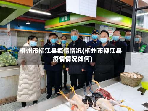 柳州市柳江县疫情情况(柳州市柳江县疫情情况如何)