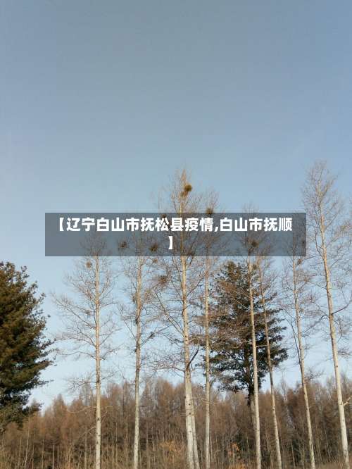 【辽宁白山市抚松县疫情,白山市抚顺】-第2张图片