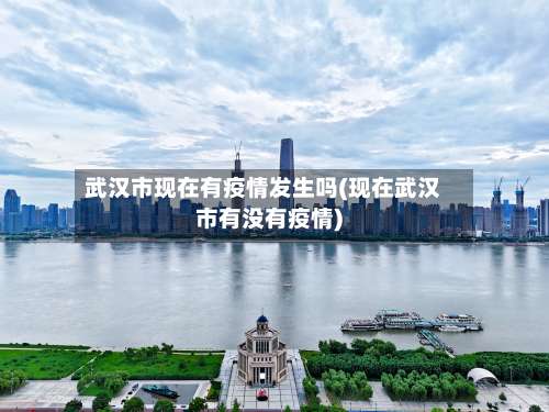 武汉市现在有疫情发生吗(现在武汉市有没有疫情)