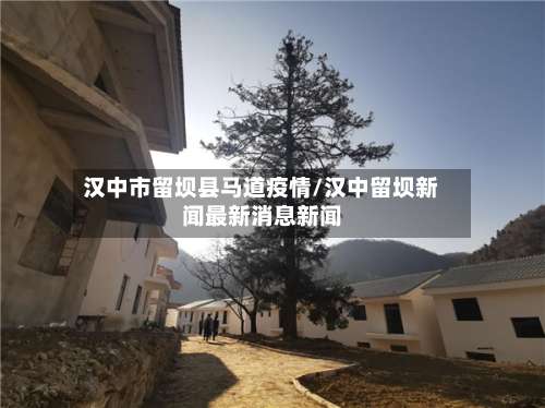 汉中市留坝县马道疫情/汉中留坝新闻最新消息新闻-第2张图片