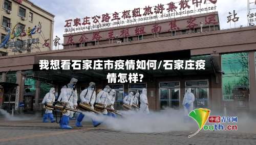 我想看石家庄市疫情如何/石家庄疫情怎样?