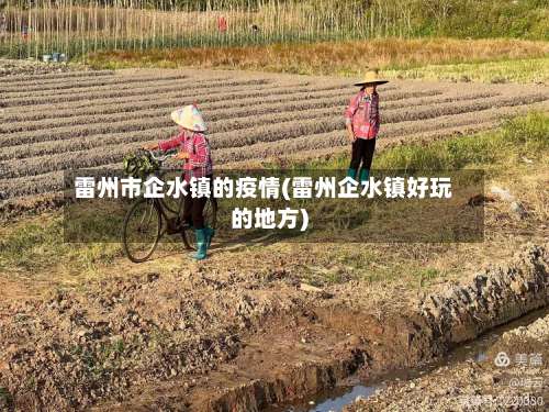 雷州市企水镇的疫情(雷州企水镇好玩的地方)