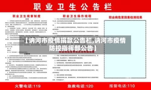 【讷河市疫情捐款公告栏,讷河市疫情防控指挥部公告】