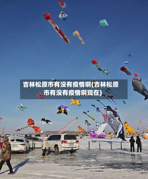吉林松原市有没有疫情啊(吉林松原市有没有疫情啊现在)-第2张图片