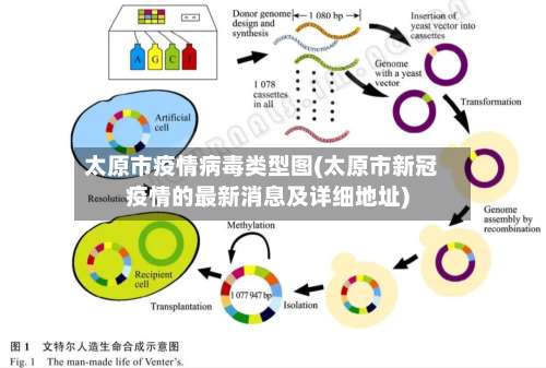 太原市疫情病毒类型图(太原市新冠疫情的最新消息及详细地址)-第2张图片