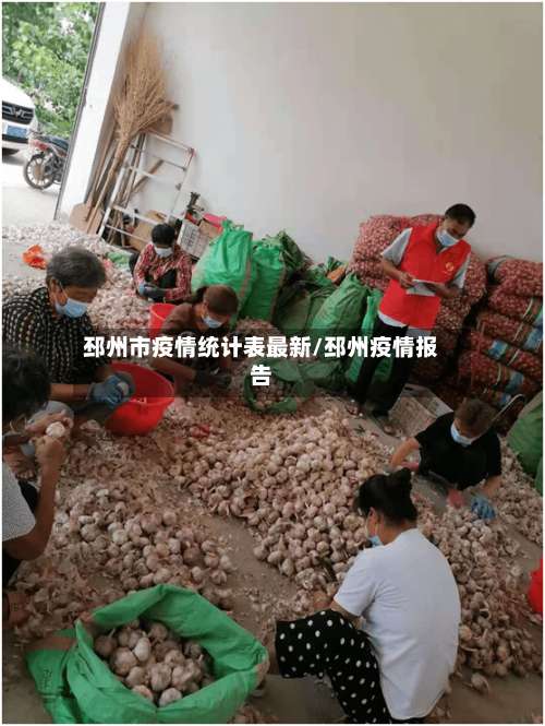 邳州市疫情统计表最新/邳州疫情报告