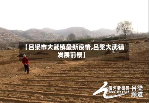 【吕梁市大武镇最新疫情,吕梁大武镇发展前景】