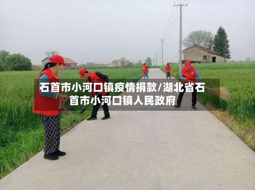 石首市小河口镇疫情捐款/湖北省石首市小河口镇人民政府
