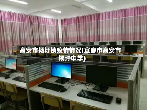 高安市杨圩镇疫情情况(宜春市高安市杨圩中学)