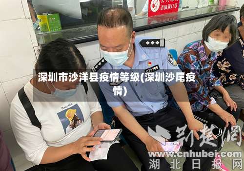 深圳市沙洋县疫情等级(深圳沙尾疫情)