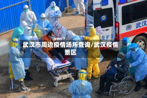 武汉市周边疫情场所查询/武汉疫情景区-第2张图片