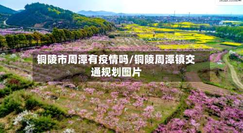 铜陵市周潭有疫情吗/铜陵周潭镇交通规划图片-第3张图片